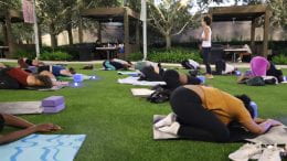 NSU community doing yoga on the lawn.