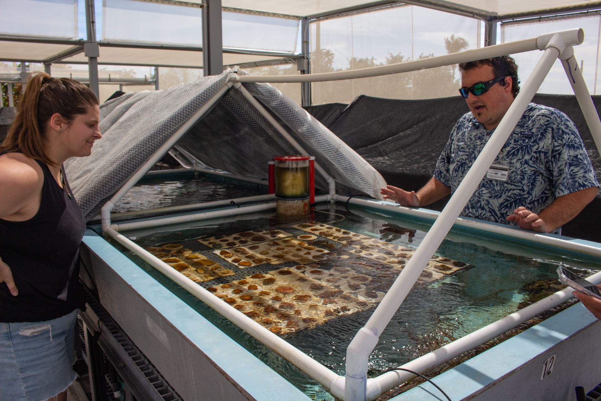 PHOTO BY ALLISON HOLLANDChelsea Petrik and Kyle Pisano, on-shore coral reef nursery managers at 
the NSU Guy Harvey Oceanographic Center, observe the coral nursery.